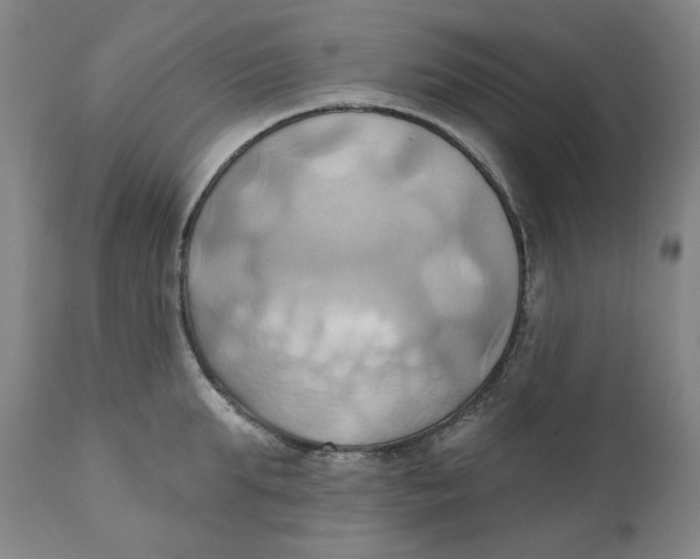 X0000110680903200907021907