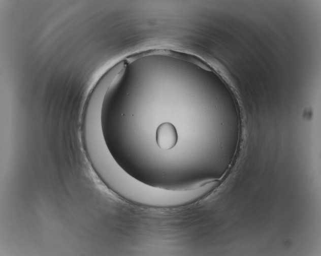 X0000110680904200907021907