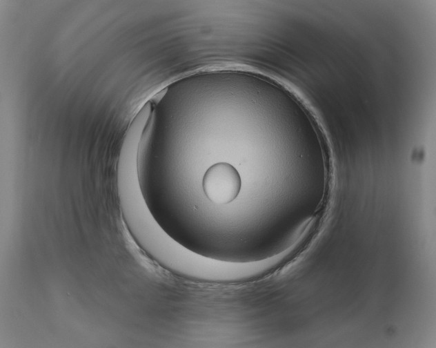 X0000110680905200907021907