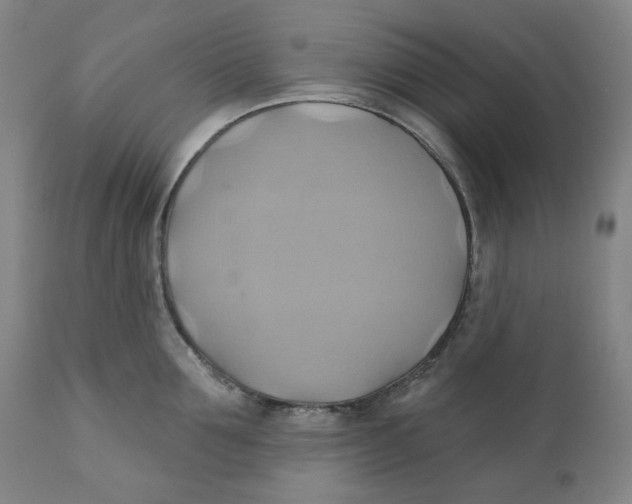 X0000110680907200907021907