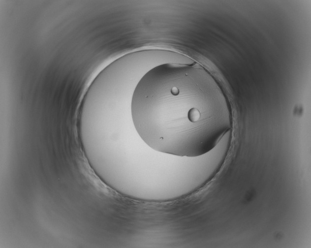 X0000110680908200907021907