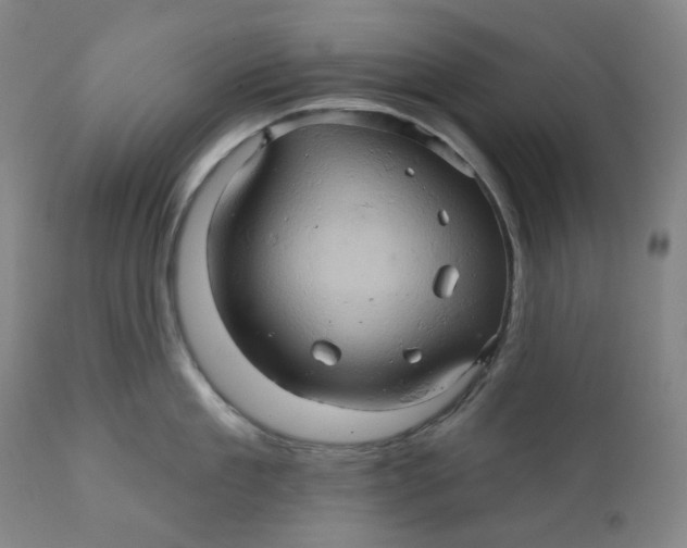 X0000110680909200907021907