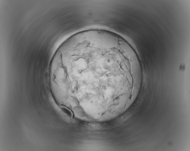 X0000110680911200907021907