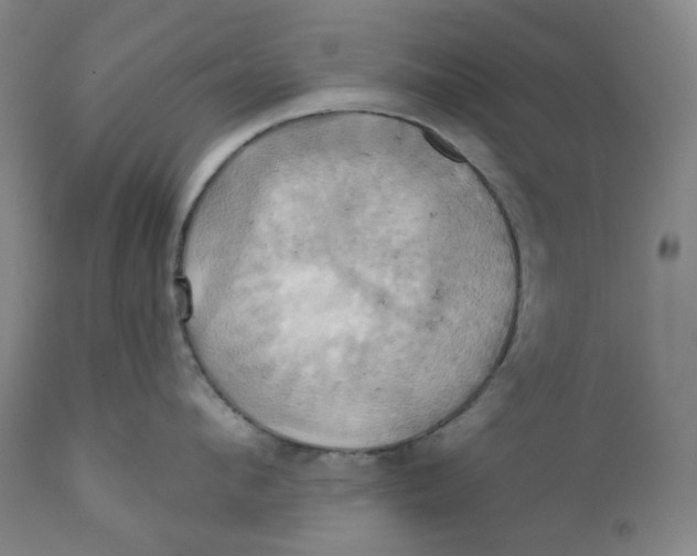 X0000110680912200907021907