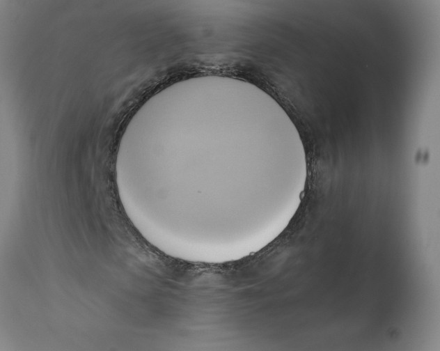 X0000110680913200907021906