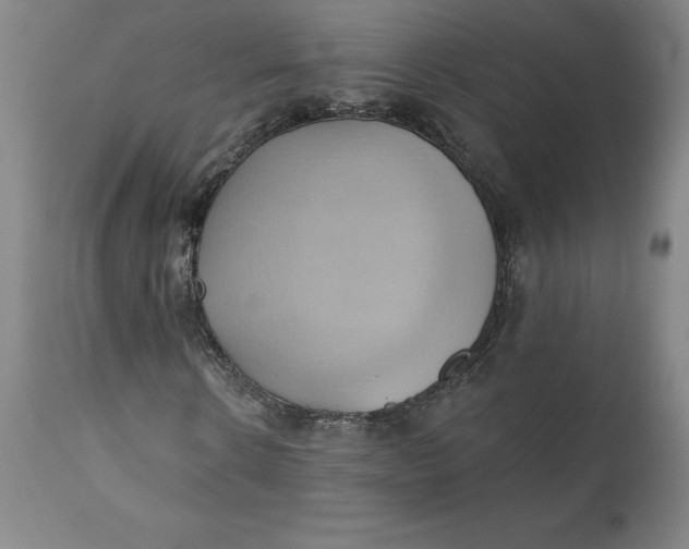 X0000110680914200907021906