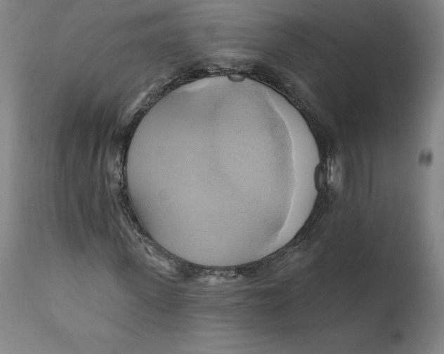 X0000110680915200907021906