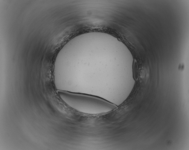 X0000110680916200907021906