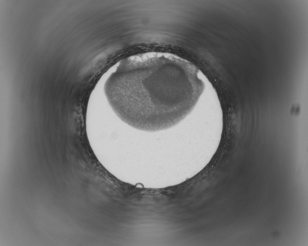 X0000110680918200907021906