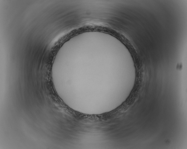 X0000110680919200907021906