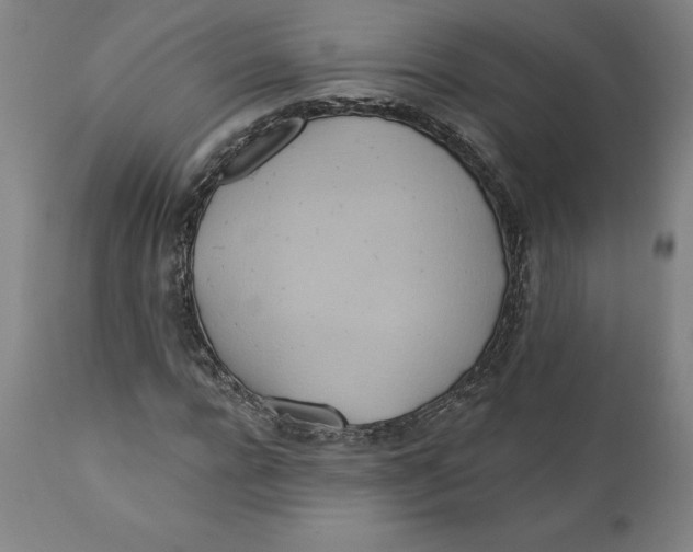 X0000110680920200907021907