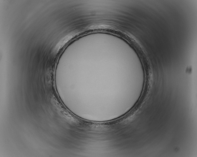 X0000110680921200907021907