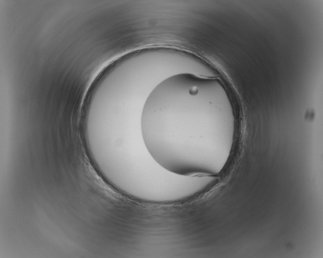 X0000110680924200907021907