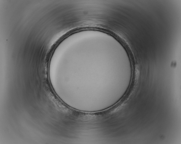 X0000110680925200907021907