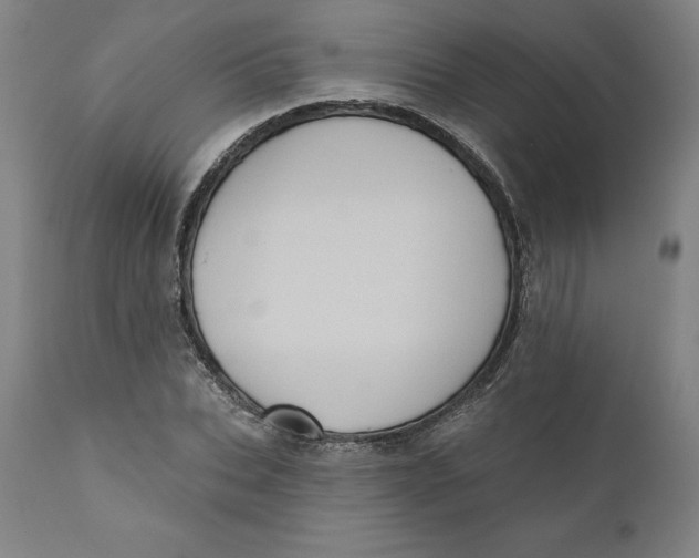 X0000110680927200907021907