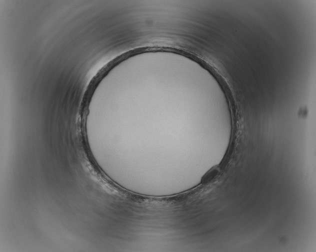 X0000110680928200907021907