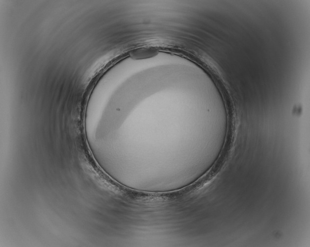 X0000110680930200907021907