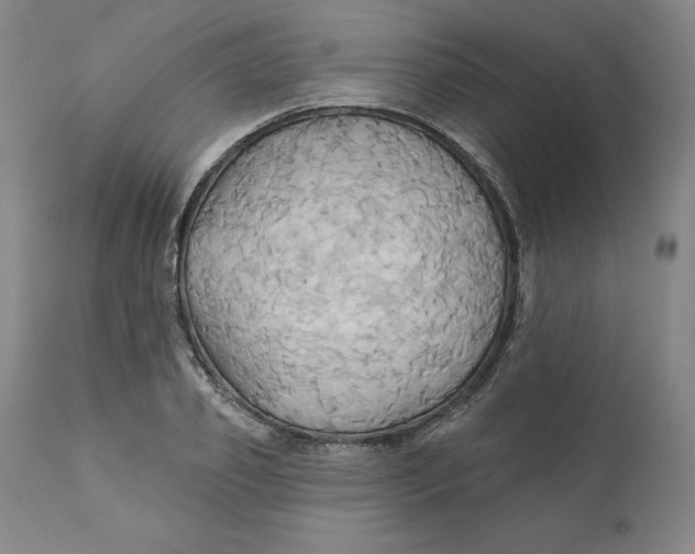 X0000110680933200907021907