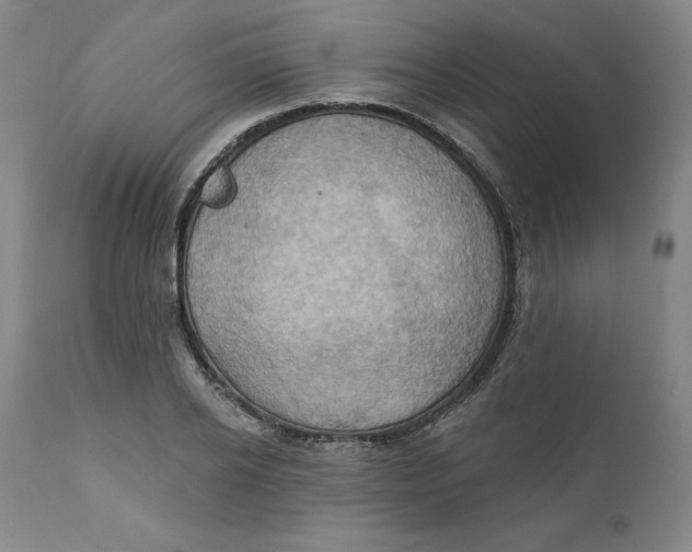 X0000110680934200907021907