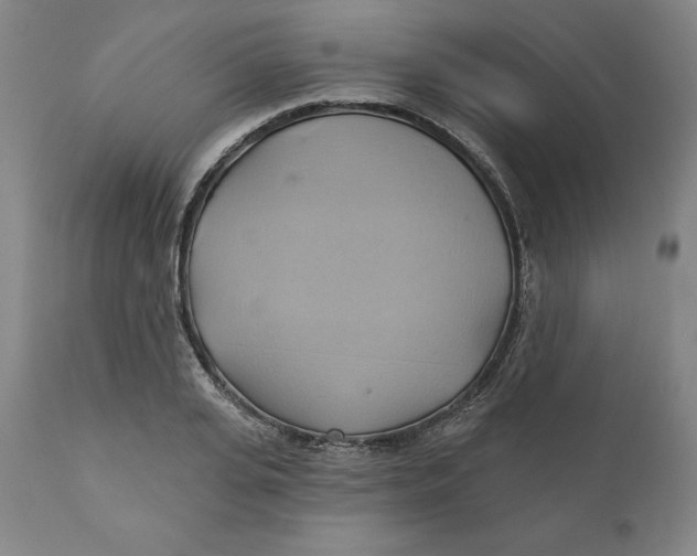 X0000110680935200907021907