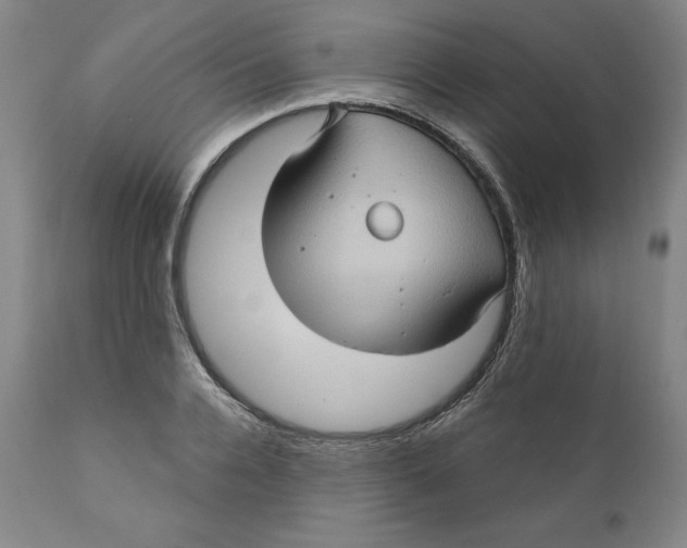 X0000110680936200907021907