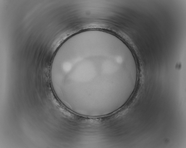 X0000110680937200907021907