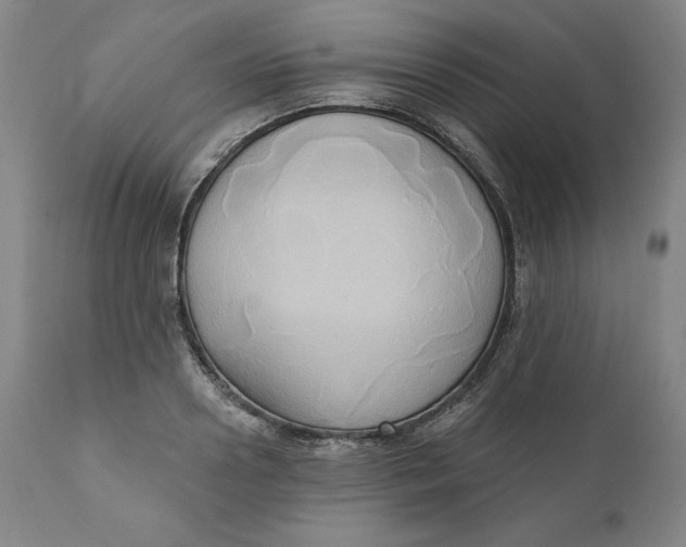 X0000110680938200907021907