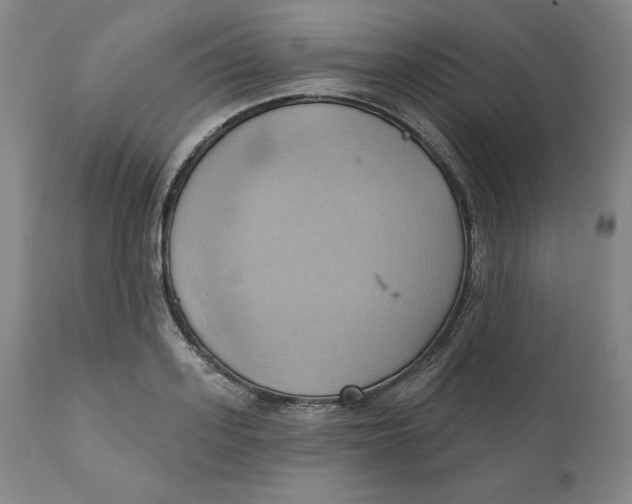 X0000110680939200907021907