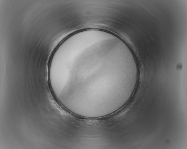 X0000110680940200907021907