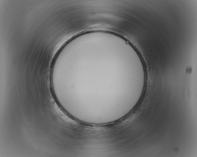 X0000110680941200907021907