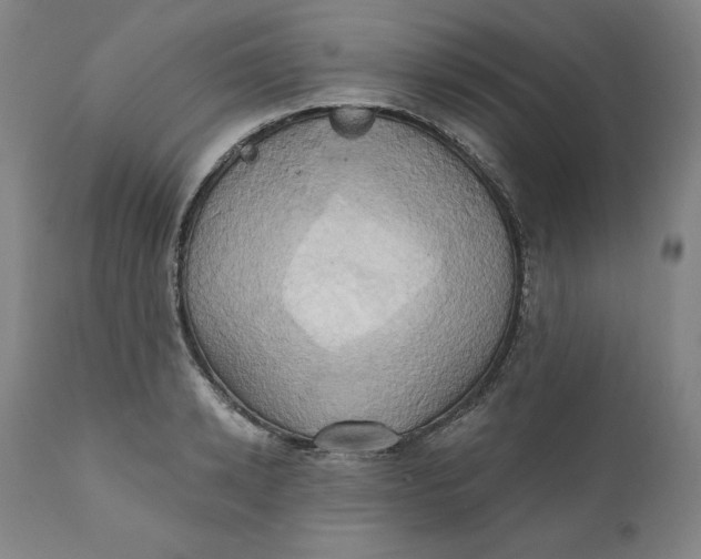 X0000110680942200907021907