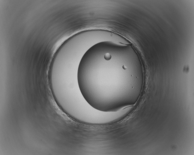 X0000110680944200907021907