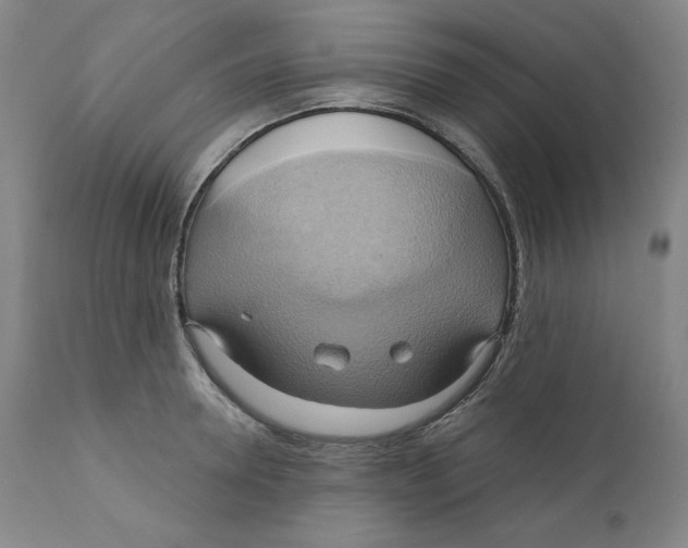 X0000110680946200907021907