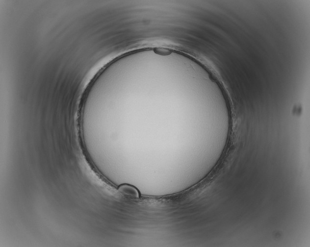 X0000110680947200907021907