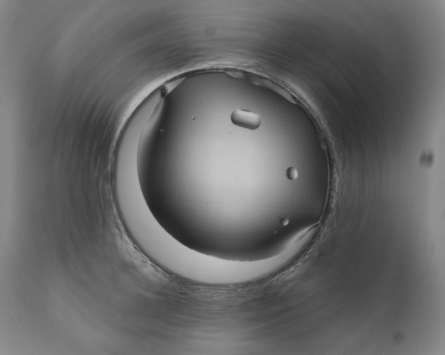 X0000110680948200907021907