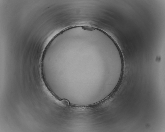 X0000110680949200907021907