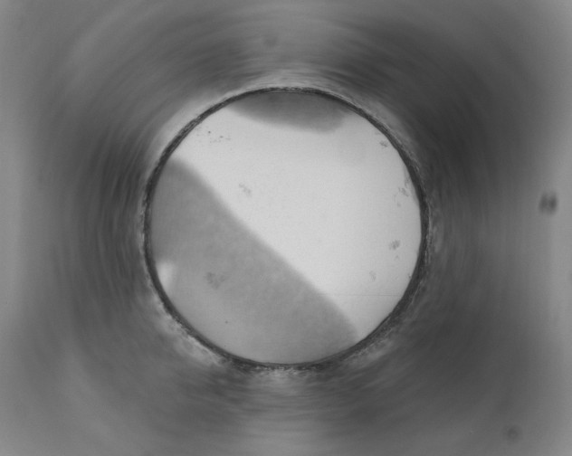 X0000110680950200907021907