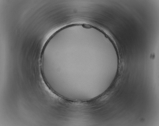 X0000110680951200907021907