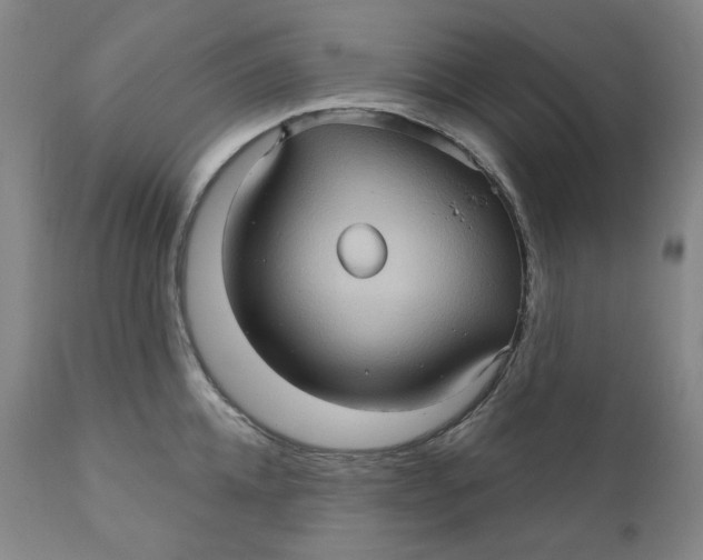 X0000110680952200907021907