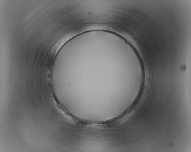 X0000110680953200907021907