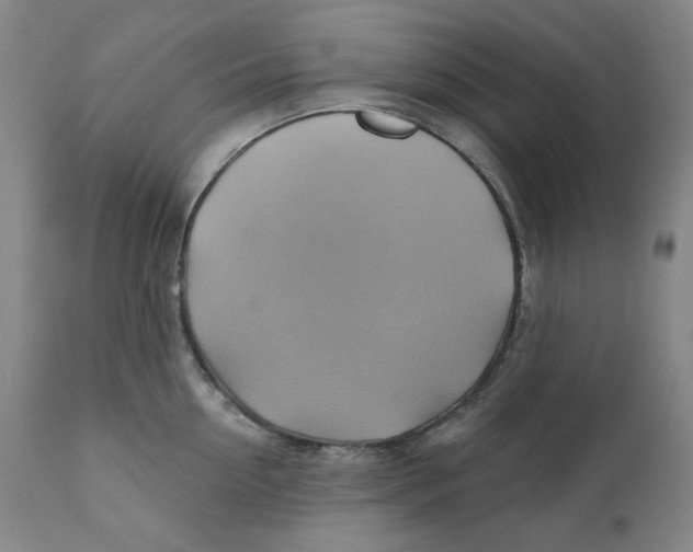 X0000110680954200907021907