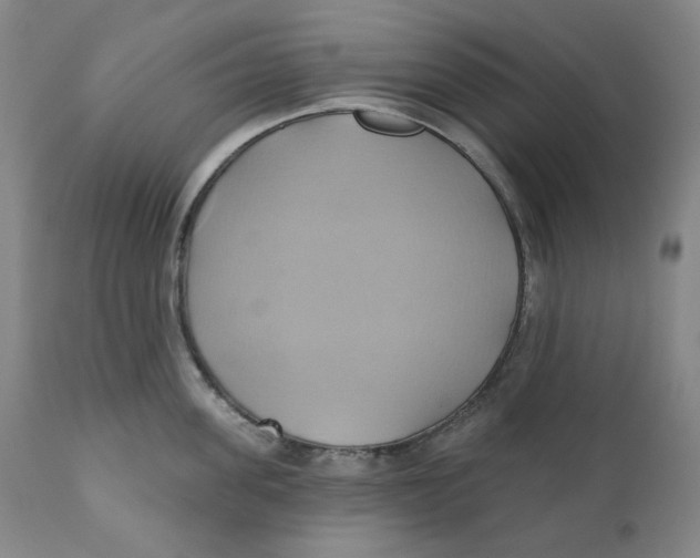 X0000110680955200907021907