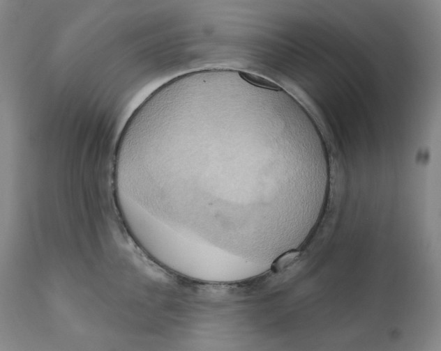 X0000110680956200907021907