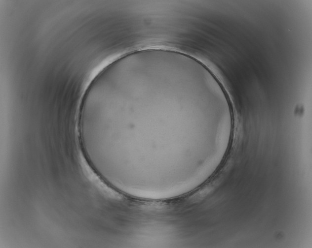 X0000110680957200907021907