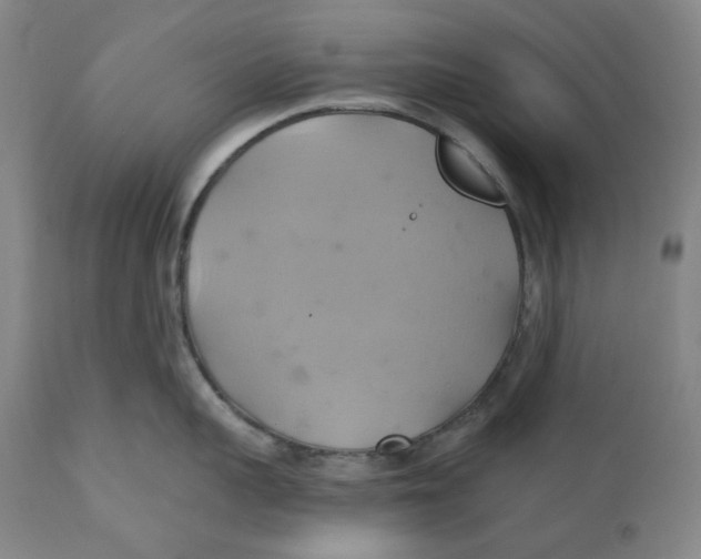 X0000110680959200907021907