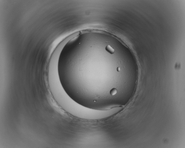 X0000110680960200907021907