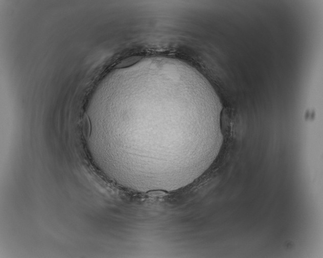 X0000110680961200907021906