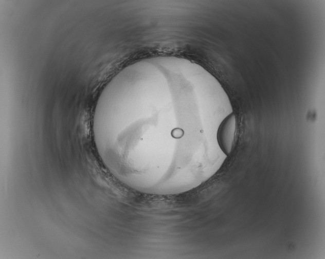 X0000110680962200907021906