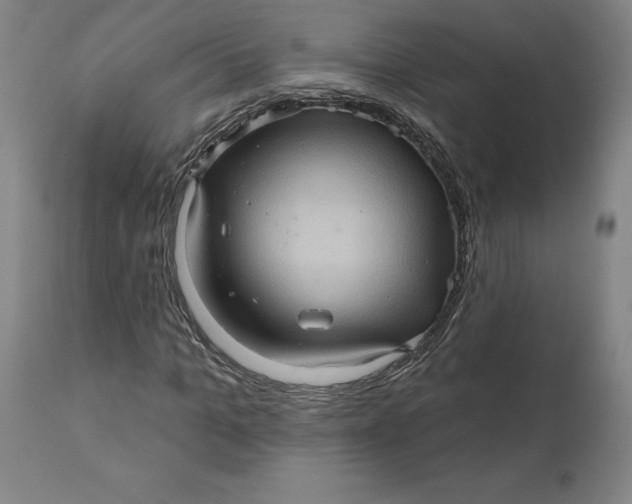 X0000110680965200907021906