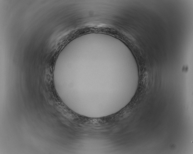 X0000110680966200907021906